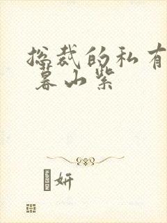 总裁的私有宝贝 暮山紫