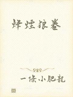 烽烟狼卷封面