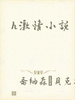 h激情小说
