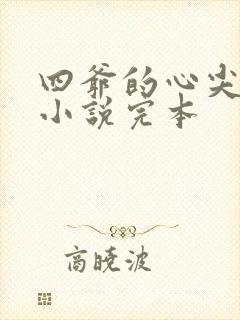 四爷的心尖宠妃小说完本