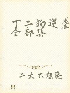 丁二狗逆袭人生全部集