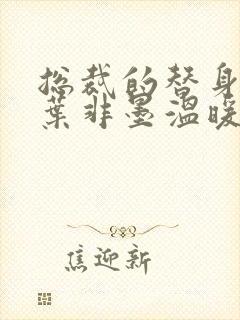 总裁的替身前妻叶非墨温暖全文免费阅读下载