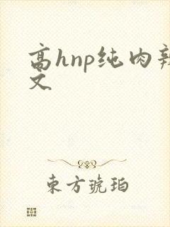 高hnp纯肉辣文封面