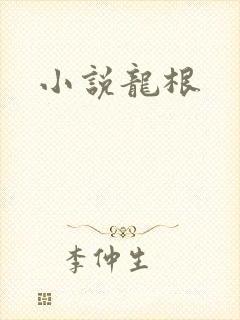 小说龙根封面