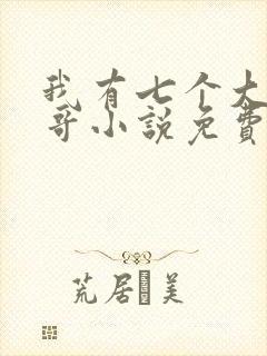 我有七个大佬哥哥小说免费阅读无弹窗
