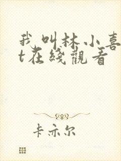 我叫林小喜txt在线观看封面