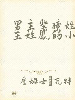 男主紫瞳姓夜女主姓凤的小说