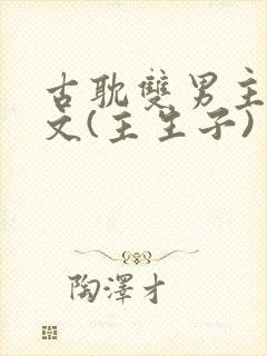 古耽双男主生子文(主生子)封面