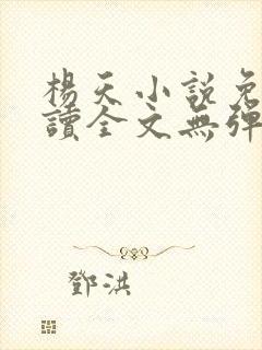 杨天小说免费阅读全文无弹窗