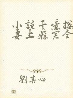 小说千亿总裁宠妻上瘾完全版
