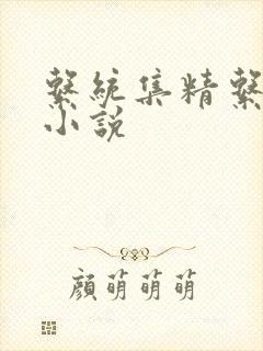系统集精系统 小说封面
