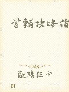首辅攻略指南