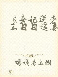 《弃妃逆袭:邪王日日追妻忙》