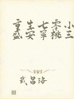 重生七零小辣媳盛安宁桃三月