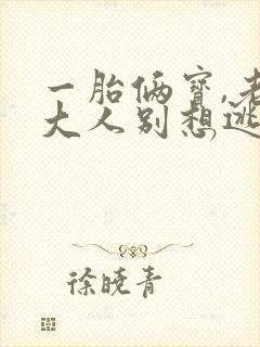一胎俩宝,老婆大人别想逃小说txt