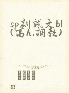 sp训诫文bl(高h,调教)