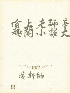 偷上老师辛瑶笔趣阁小说大结局