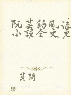 阮芸的风流人生小说全文免费阅读