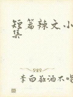 短篇辣文小说合集封面