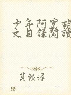 少年阿宾胡太全文目录阅读在线封面