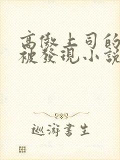 高傲上司的秘密被发现小说免费阅读