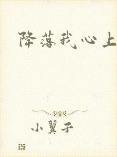 降落我心上