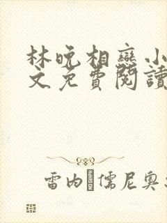 林晚相恋小说全文免费阅读