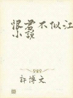 恨君不似江楼月小说封面