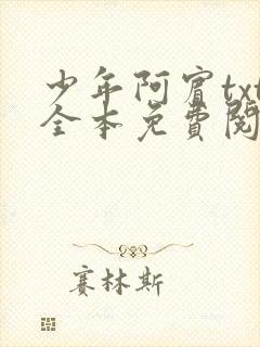 少年阿宾txt全本免费阅读
