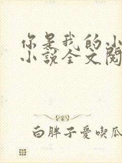 你是我的小确幸小说全文阅读