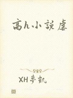 高h小说虐封面