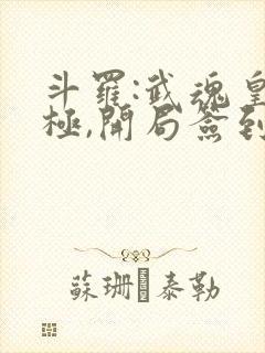 斗罗:武魂皇太极,开局签到黑龙天封面