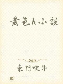黄色h小说