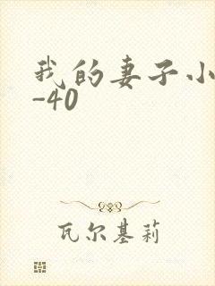 我的妻子小谨1-40