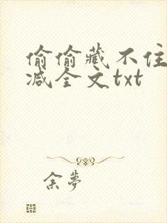 偷偷藏不住无删减全文txt