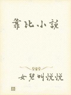 靠比小说
