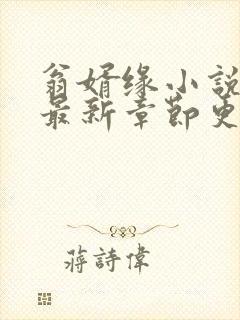 翁婿缘小说老马最新章节更新时间