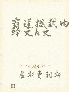 霸道总裁肉宠高干文h文
