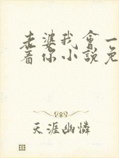 老婆我会一直缠着你小说免费阅读全文