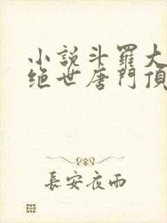 小说斗罗大陆2绝世唐门顶点