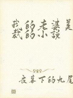 我的老婆美女总裁的小说封面