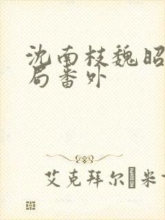 沈南枝魏昭大结局番外
