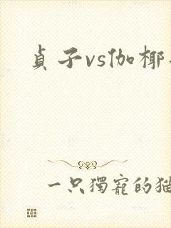 贞子vs伽椰子