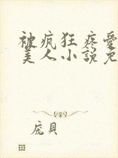 被疯狂疼爱的小美人小说免费阅读