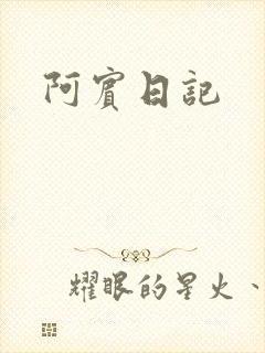 阿宾日记封面
