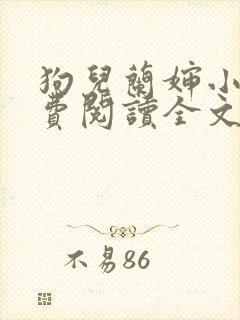 狗儿兰婶小说免费阅读全文