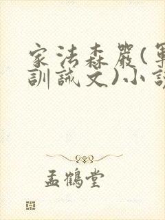 家法森严(军人训诫文)小说封面