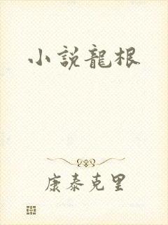 小说龙根封面
