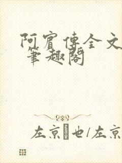 阿宾传全文阅读 笔趣阁