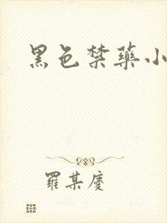 黑色禁药小说